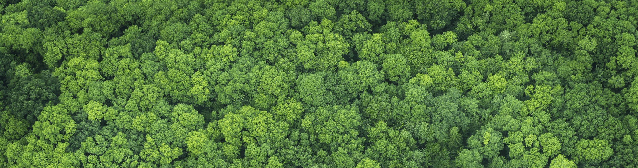 環境-環境保護與改善