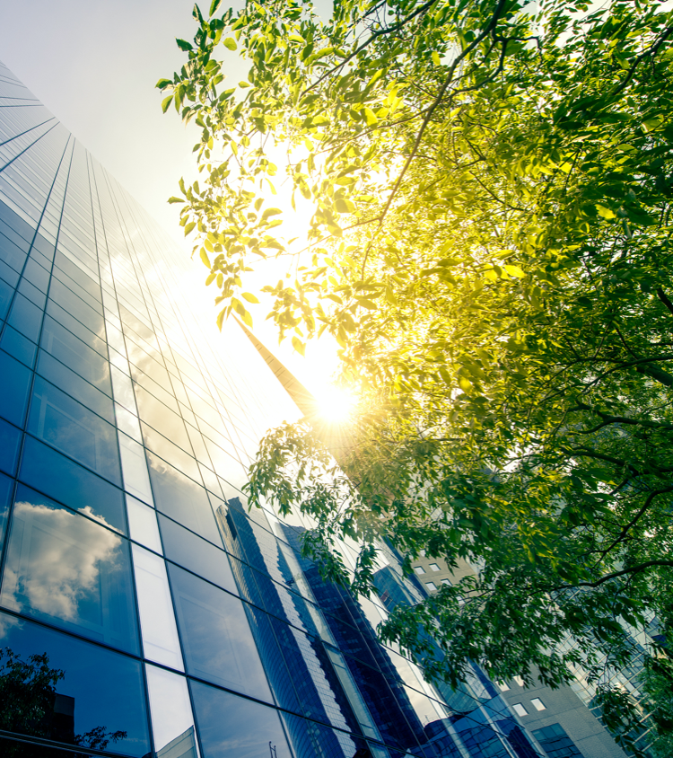 公司治理|私募投資基金管理公司|供應鏈金融解決方案